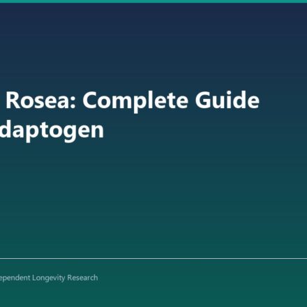 Rhodiola Rosea: Complete Guide to This Adaptogen - CoreStacks featured image