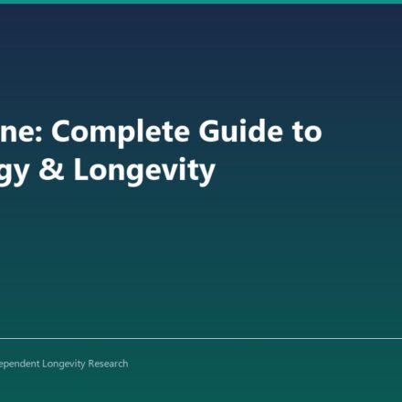 Spermidine: Complete Guide to Autophagy & Longevity - CoreStacks featured image