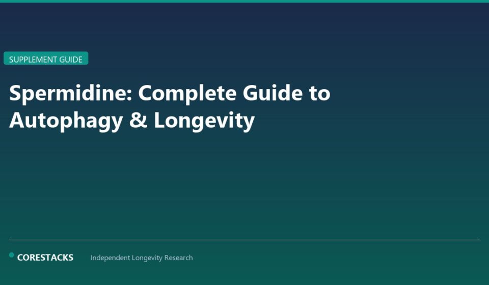 Spermidine: Complete Guide to Autophagy & Longevity - CoreStacks featured image