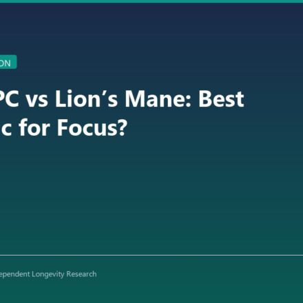 Alpha-GPC vs Lion’s Mane: Best Nootropic for Focus? - CoreStacks featured image