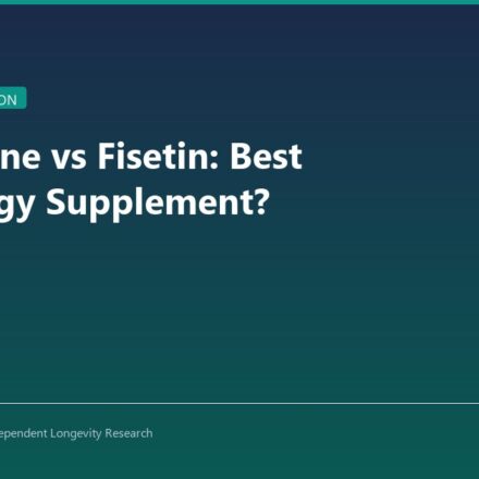 Spermidine vs Fisetin: Best Autophagy Supplement? - CoreStacks featured image