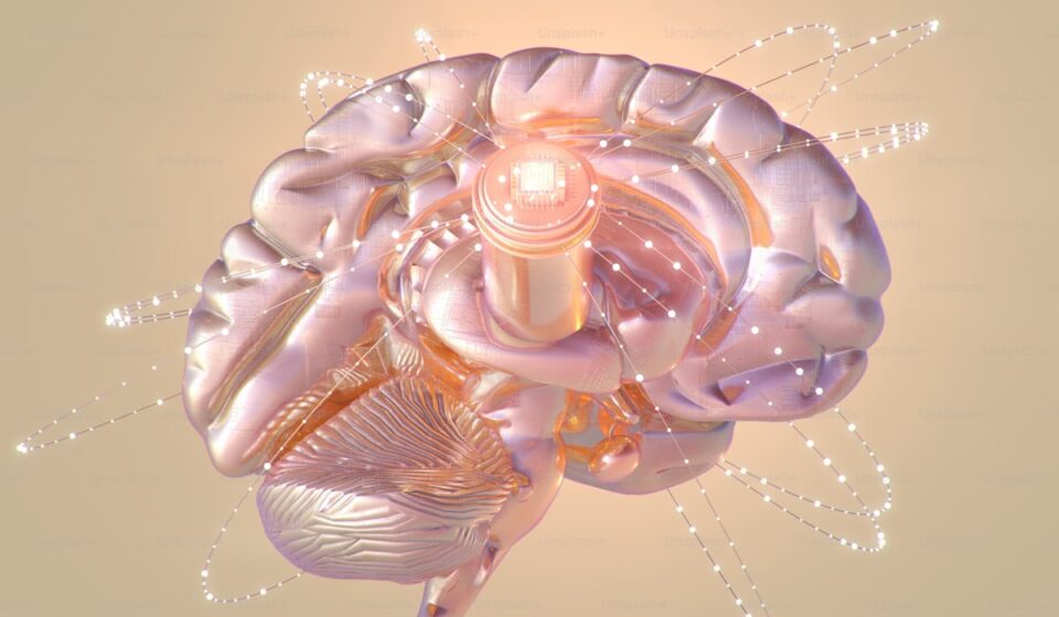 Brain health and creatine supplementation research