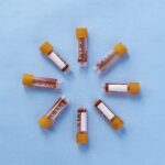 Blood test tubes and laboratory analysis for longevity health screening panels