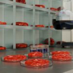 What Is ApoB and Why Does It Matter? cellular aging and NAD decline biology research