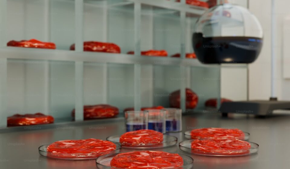 cellular aging and NAD decline biology research