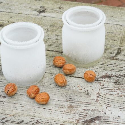 NMN and NR supplement capsules compared for NAD+ longevity research