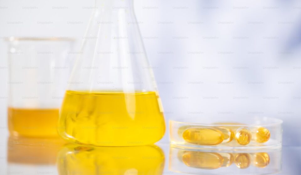 Omega-3 triglyceride and ethyl ester supplement comparison