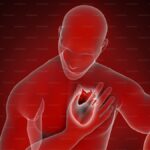 Cardiovascular exercise and heart rate monitoring for Peter Attia longevity protocol