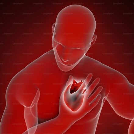 Cardiovascular exercise and heart rate monitoring for Peter Attia longevity protocol